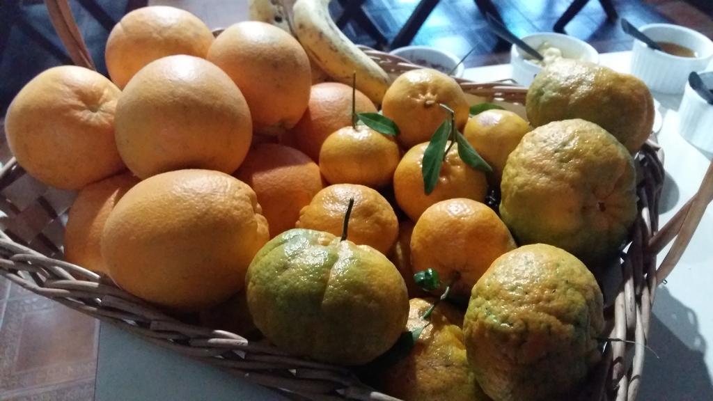 Pousada Três Coroas 外观 照片