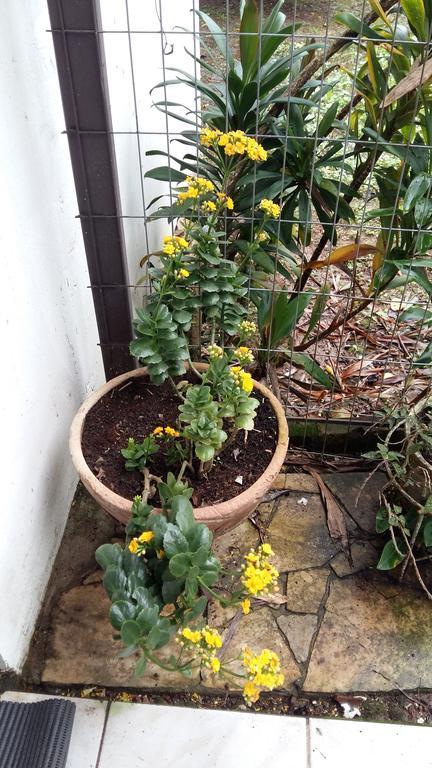 Pousada Três Coroas 外观 照片